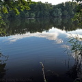 Trouée au bassin de la Courrance (Maurepas)