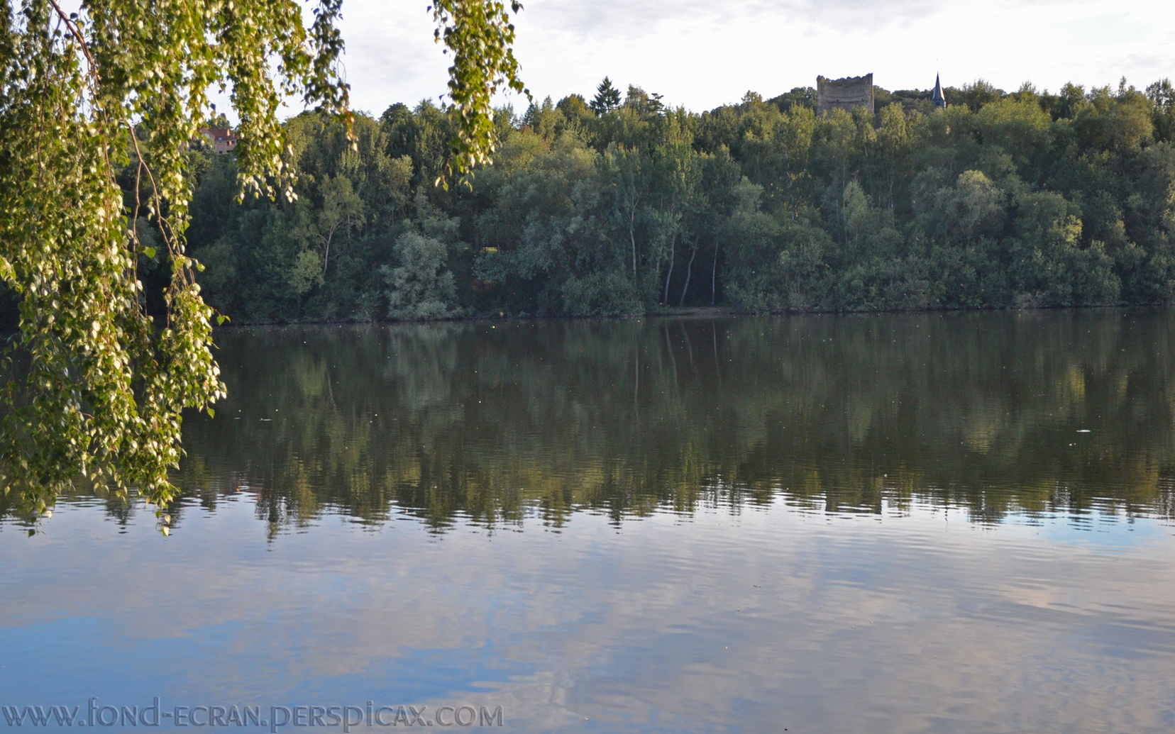 20100820103151-4e533761.jpg