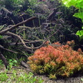 Aquarium Porte Dorée (MAAO)