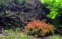 Aquarium Porte Dorée (MAAO)