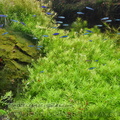 Aquarium Porte Dorée (MAAO)
