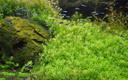 Aquarium Porte Dorée (MAAO)